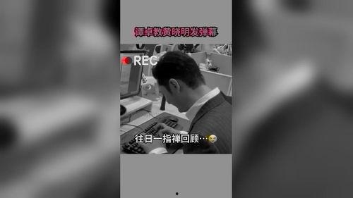 娱乐最新爆料视频网站,最新爆料带你领略娱乐前沿