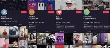 抖音新闻媒体爆料案例最新,揭秘网络舆论背后的真相与挑战 第2张 抖音新闻媒体爆料案例最新,揭秘网络舆论背后的真相与挑战 第2张