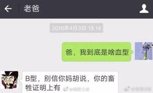 搞笑爆料新闻视频大全集,搞笑爆料新闻视频大全集精彩回顾 第2张 搞笑爆料新闻视频大全集,搞笑爆料新闻视频大全集精彩回顾 第2张