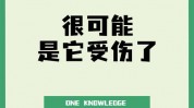 机器学习包,助力数据科学家高效建模