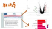 geo数据库,地舆信息系统的中心柱石