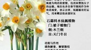 python水仙花数,什么是水仙花数？