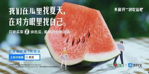 免费吃瓜怎么找,揭秘如何轻松获取免费瓜果盛宴