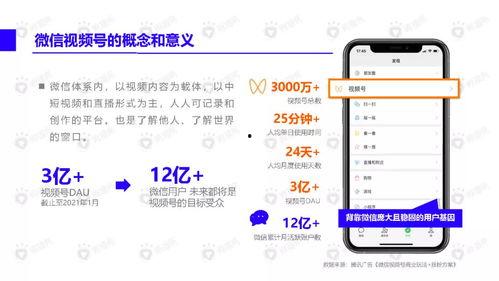 恐怖黑料爆料视频下载网站,揭秘黑暗角落的隐秘内容  第2张