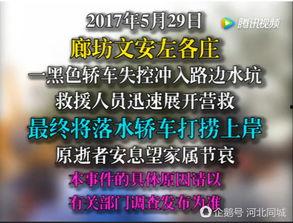 文安网友爆料新闻最新情况,最新事件进展揭秘
